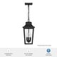 preview thumbnail 6 of 5, Hunter Spring Cove Outdoor 3 Light 17 Inch Pendant - Traditional - Entryways, Porches, or Outdoor Gathering Spaces