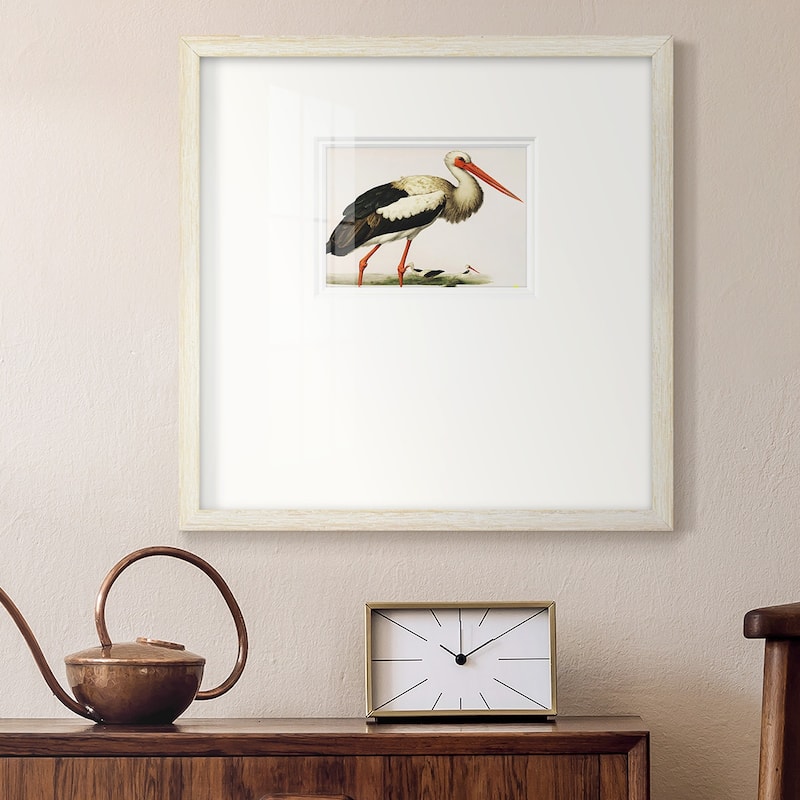 Odd CranePremium Framed Print