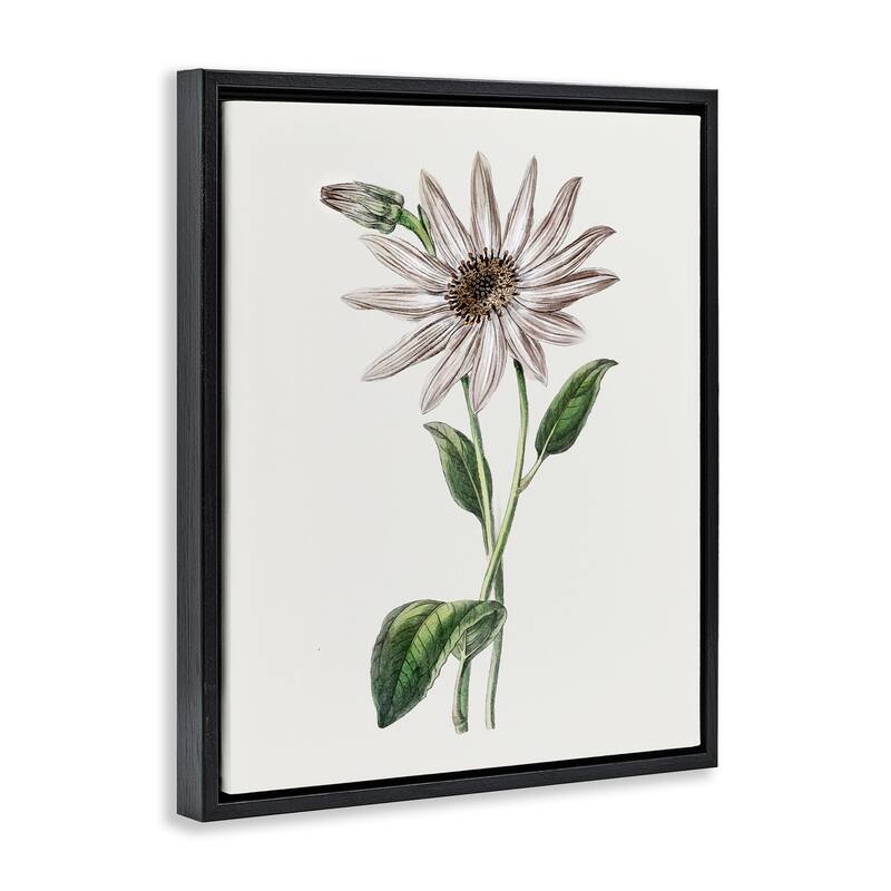 Stupell Vintage Mum Sprig Framed Floater Canvas Wall Art Design By CAD Designs