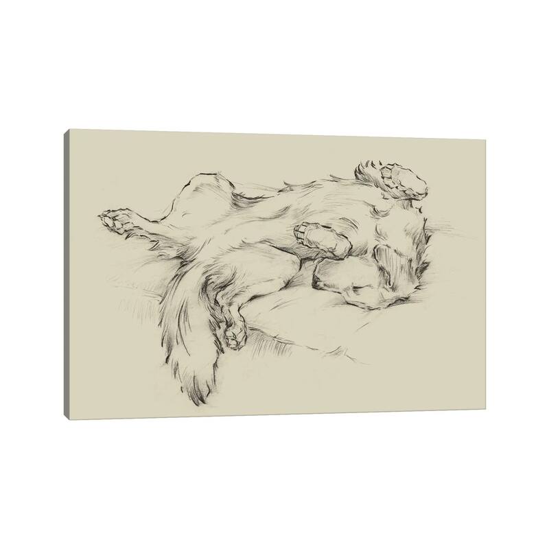 iCanvas "Dog Tired II" by Ethan Harper Canvas Print