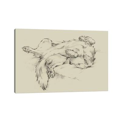 iCanvas "Dog Tired II" by Ethan Harper Canvas Print