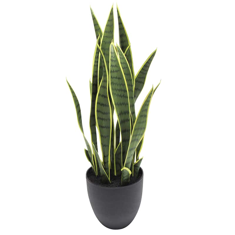 Artificial Sansevieria Snake Plant in Black Pot