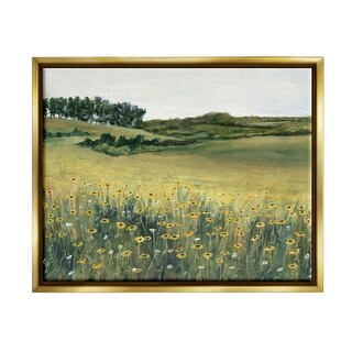 Stupell Rural Daisy Meadow Framed Floater Canvas Wall Art Design by ...