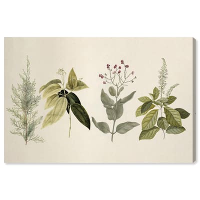 Branch Selection Canvas by Art Remedy, Gallery Wrapped