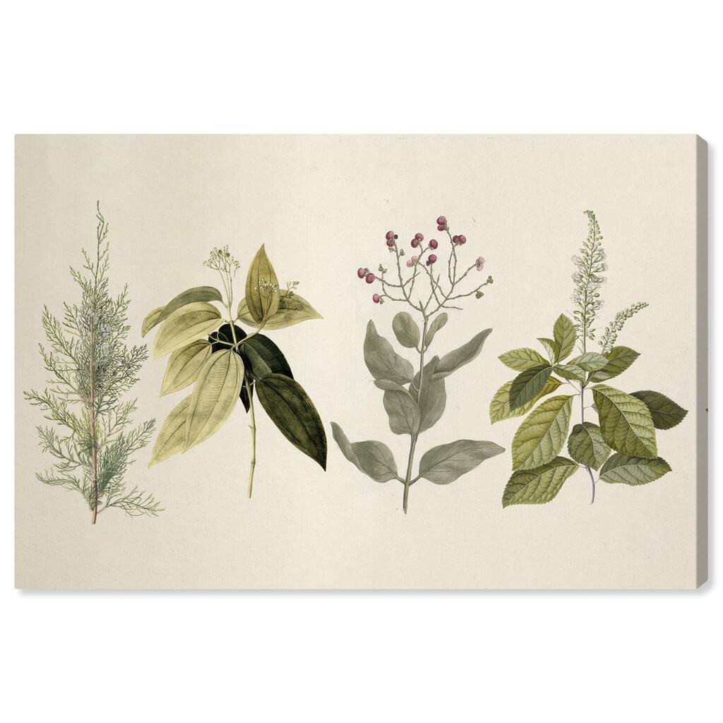 Branch Selection Canvas by Art Remedy, Gallery Wrapped