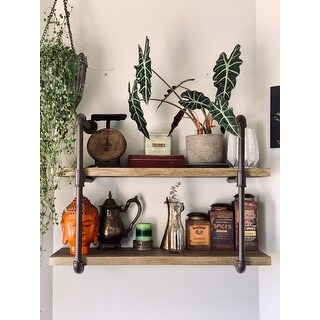 Danya B. Two-tier Industrial Pipe Wall Shelf