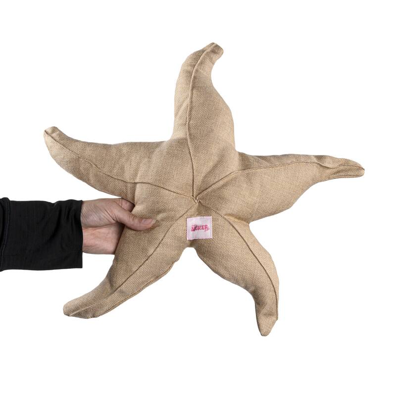 Cancun Large Coastal Reef Fish Chenille Squeaky Stuffed Dog Toy Set, Multi-Colored (3-Pack)
