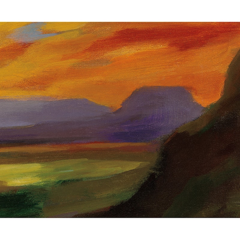 Sonoran Sunset Outdoor Art 40x30