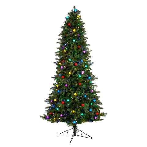 8.5' Montana Mountain Fir Christmas Tree with 800 Lights - 8.6