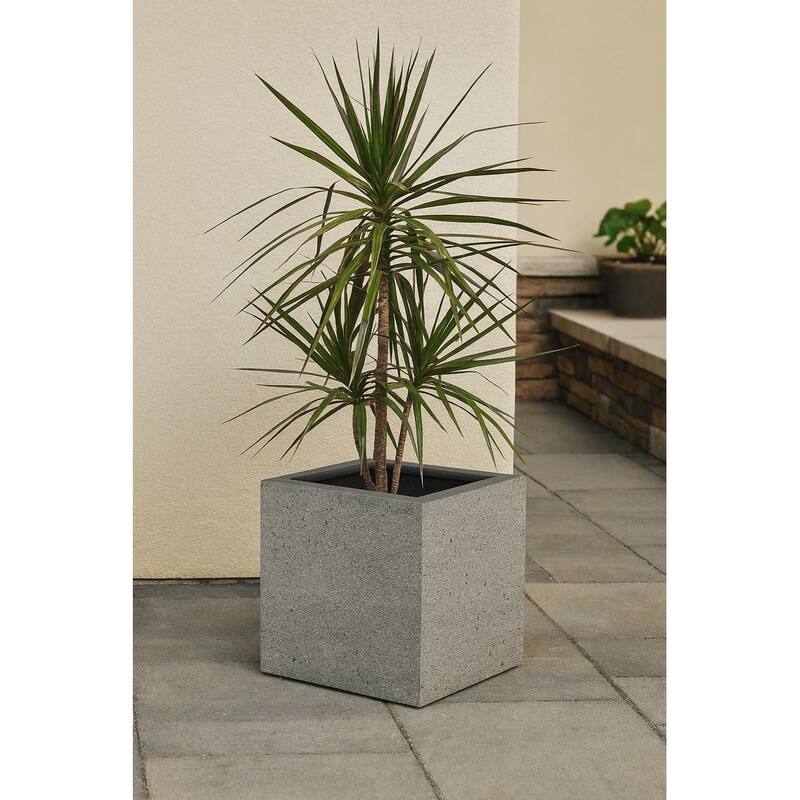 Grigio XL Cube Planter 19.75"W x 19.75"H Fiberglass Stone Resin, Lightweight, Frost & UV Resistant