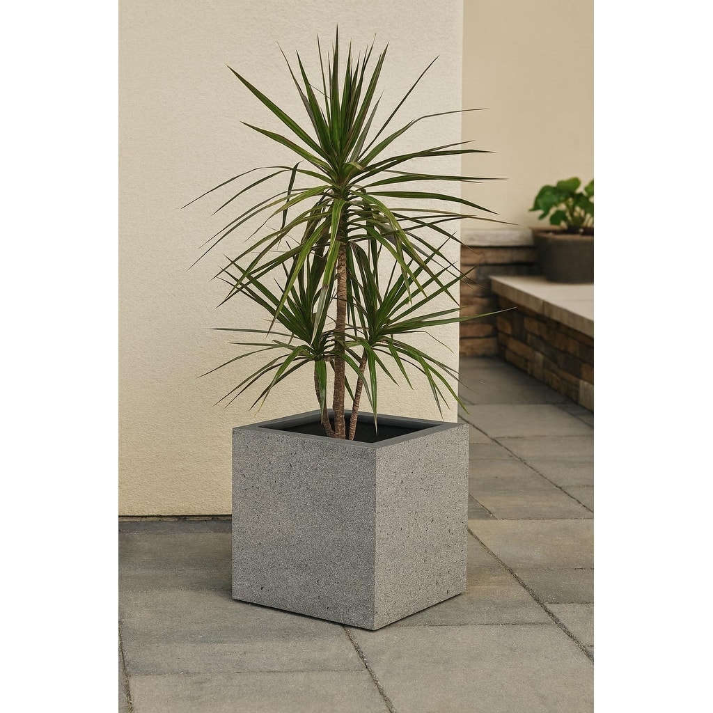 Grigio XL Cube Planter 19.75"W x 19.75"H Fiberglass Stone Resin, Lightweight, Frost & UV Resistant