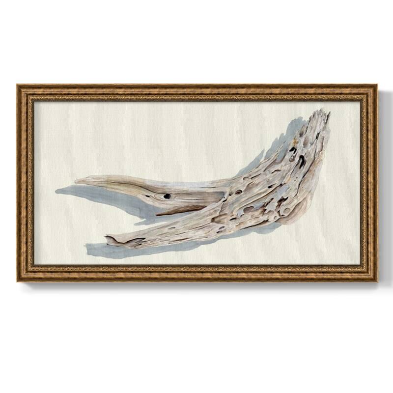 Driftwood Study III Premium Framed Canvas- Ready to Hang