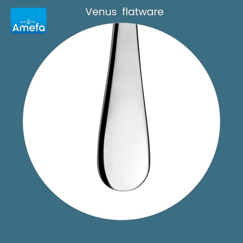 Amefa Venus 20 Piece 18/10 Stainless Steel Flatware Set