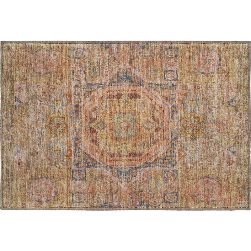 Premium Washable Super Soft Vintage Traditional Mayfield Rug