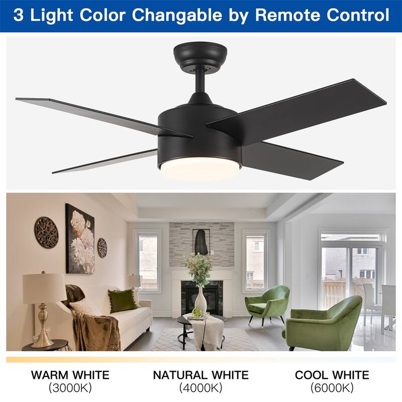 44 In Intergrated LED Ceiling Fan Lighting with White ABS Blade - Black