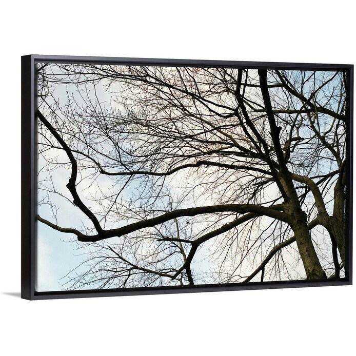 pic Black Tree Branches On Canvas low angle view of sky through tree branches with no leaves black float frame canvas art