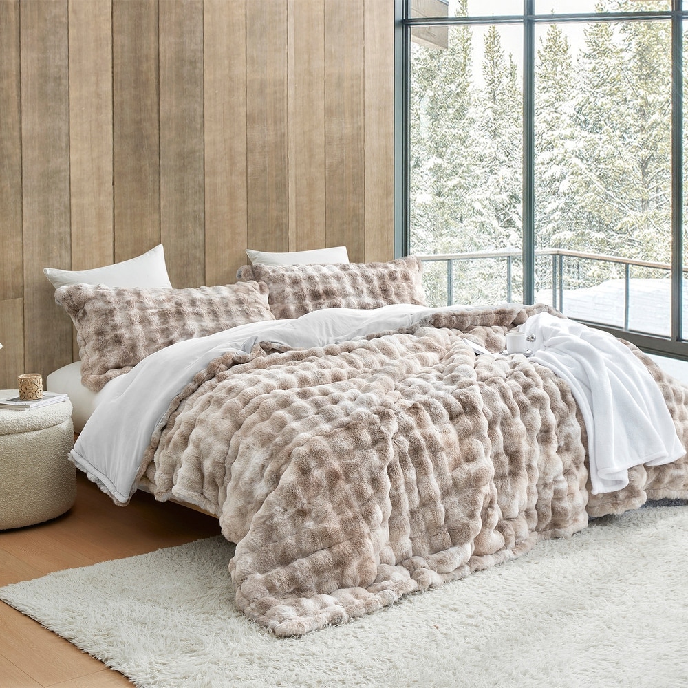 Teen Dorm Graphic Print 2 Piece Comforter Sets Bed Bath Beyond