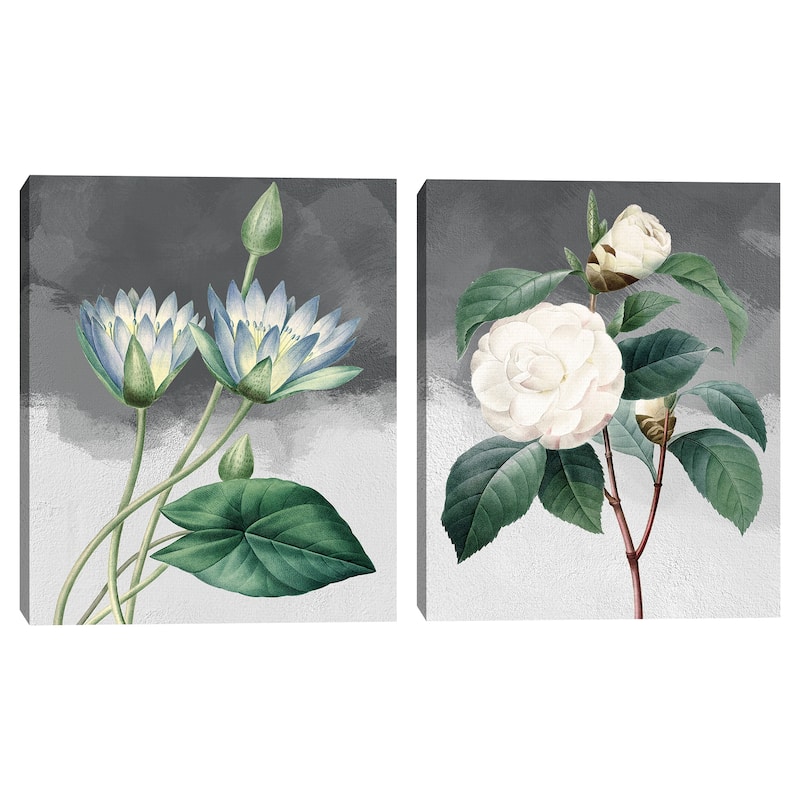 Blue Lotus & White Common Camellia Grey Canvas Art Prints