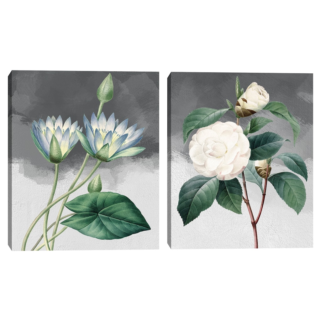Blue Lotus & White Common Camellia Grey Canvas Art Prints