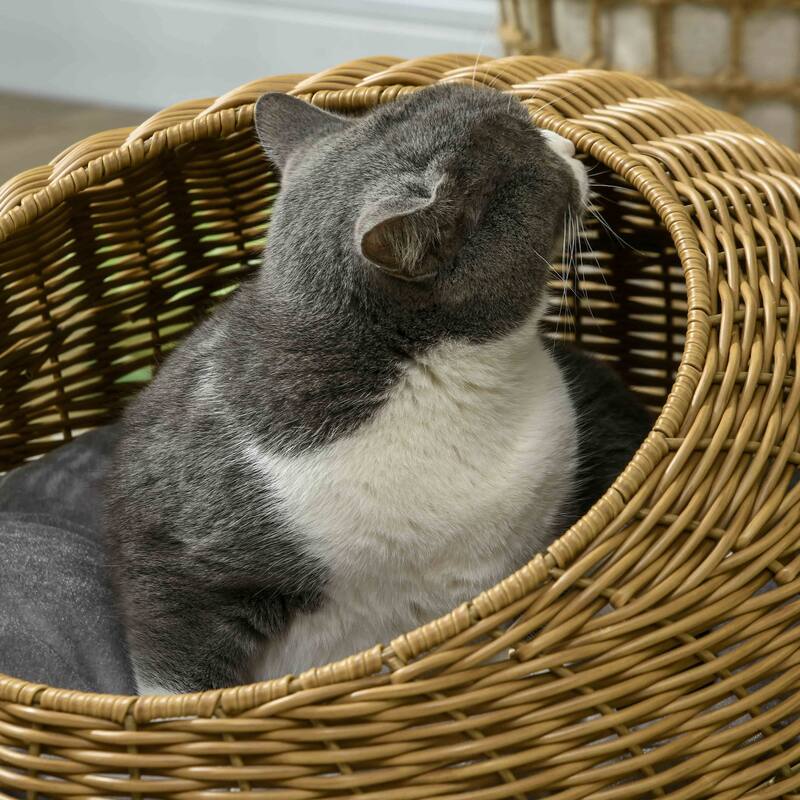 PawHut Rattan Cat Bed with Washable Cushion for Cats, Puppies, Light Brown