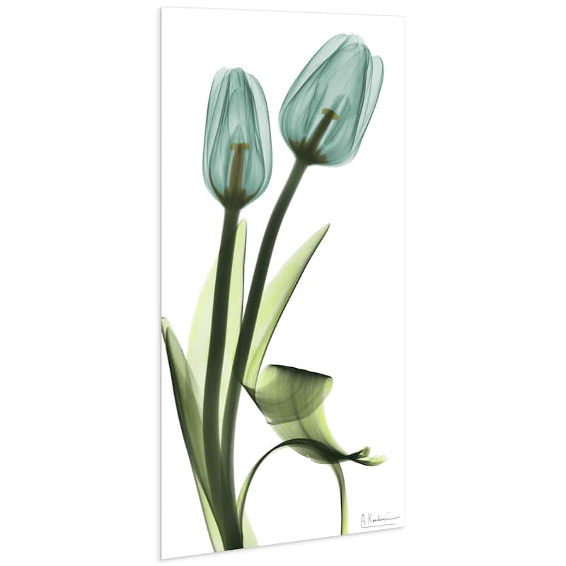 "Blue Tulips" Frameless Free Floating Tempered Glass Panel Graphic Wall Art