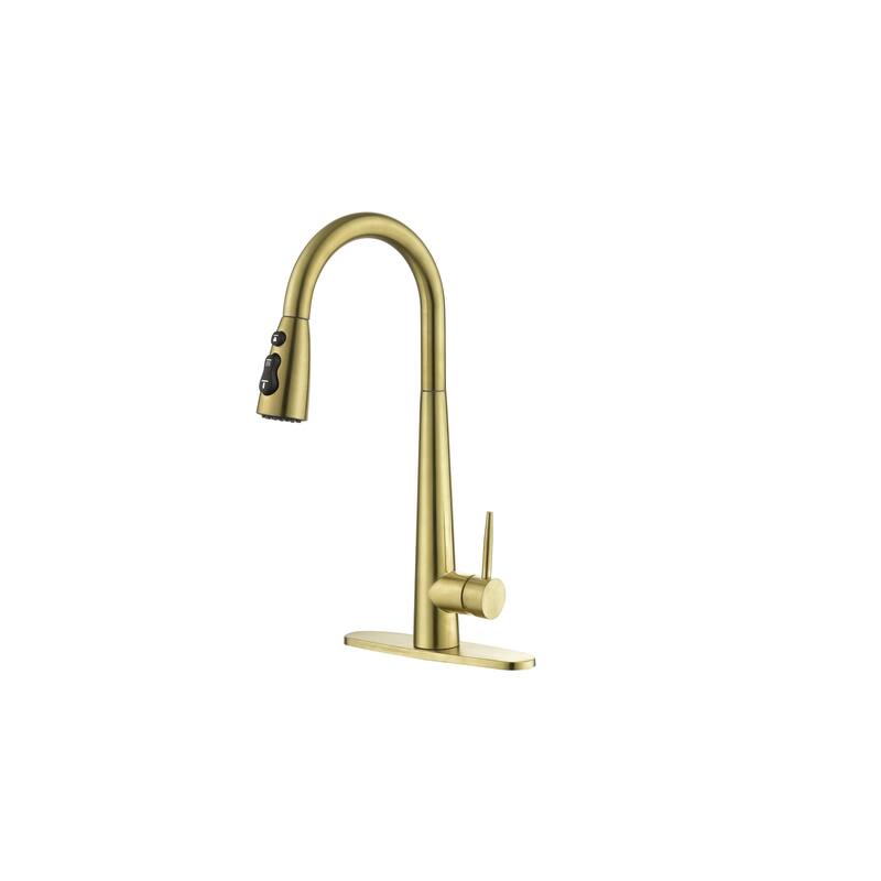 Single Handle Kitchen Sink Faucet with Pull Down Sprayer - Brushed Gold
