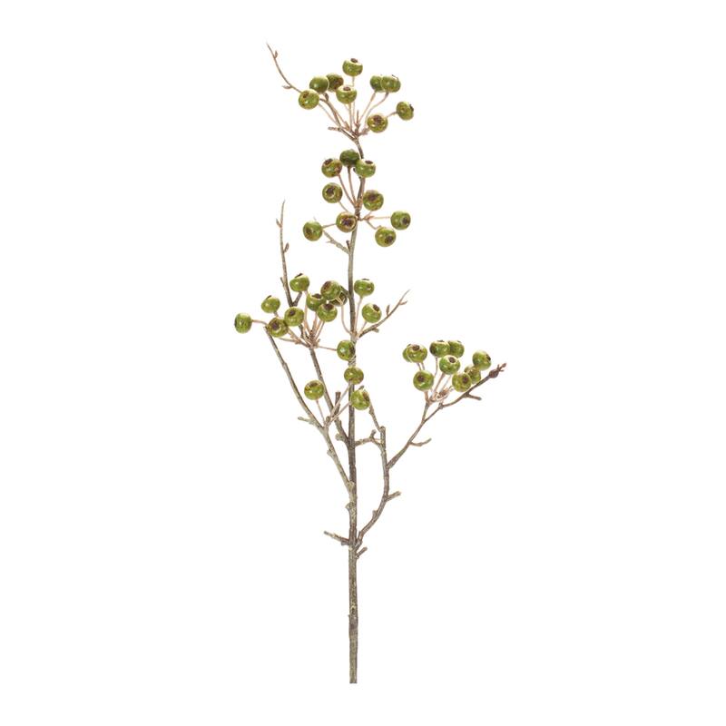 Winter Berry Pod Spray (Set of 12) - Green