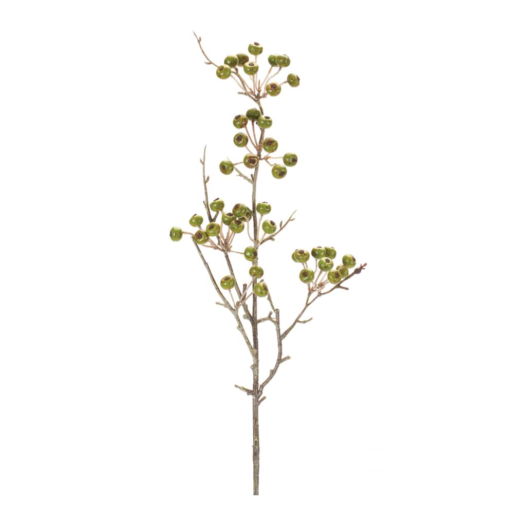 Winter Berry Pod Spray (Set of 12) - Green
