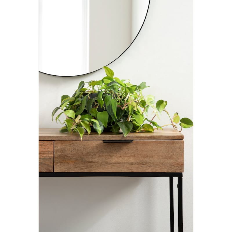 Kate and Laurel Malone Wood and Metal Console Table