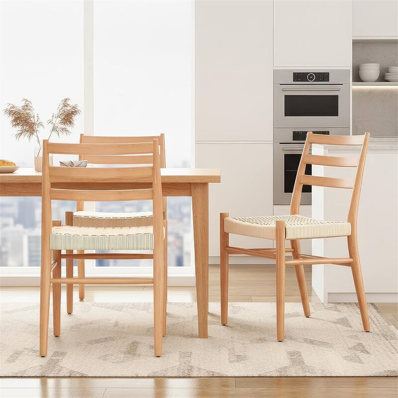 Set of 2 Mid Century Modern Dining Room Chairs