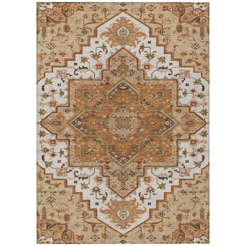 Machine Washable Indoor/ Outdoor Persian Traditional Chantille Rug