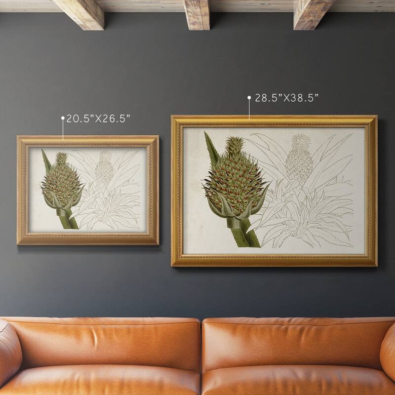 Tropical Foliage & Fruit VI Premium Framed Canvas- Ready to Hang