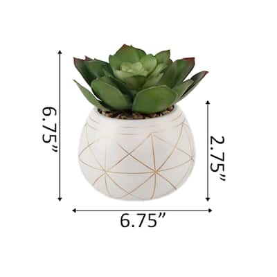 Artificial Plant Succulent in 6.5" Gold Geo Hand painted Ceramic Planter - ONE-SIZE