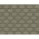 Option Raw Umber