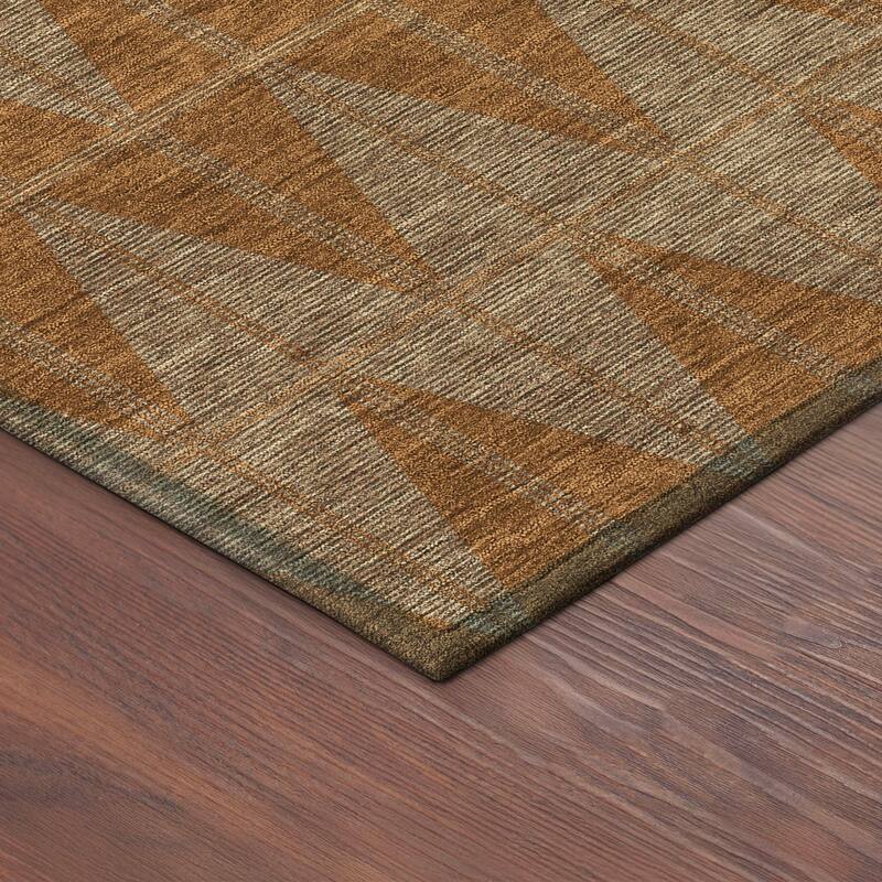 Machine Washable Indoor/ Outdoor Modern Zeke Chantille Rug