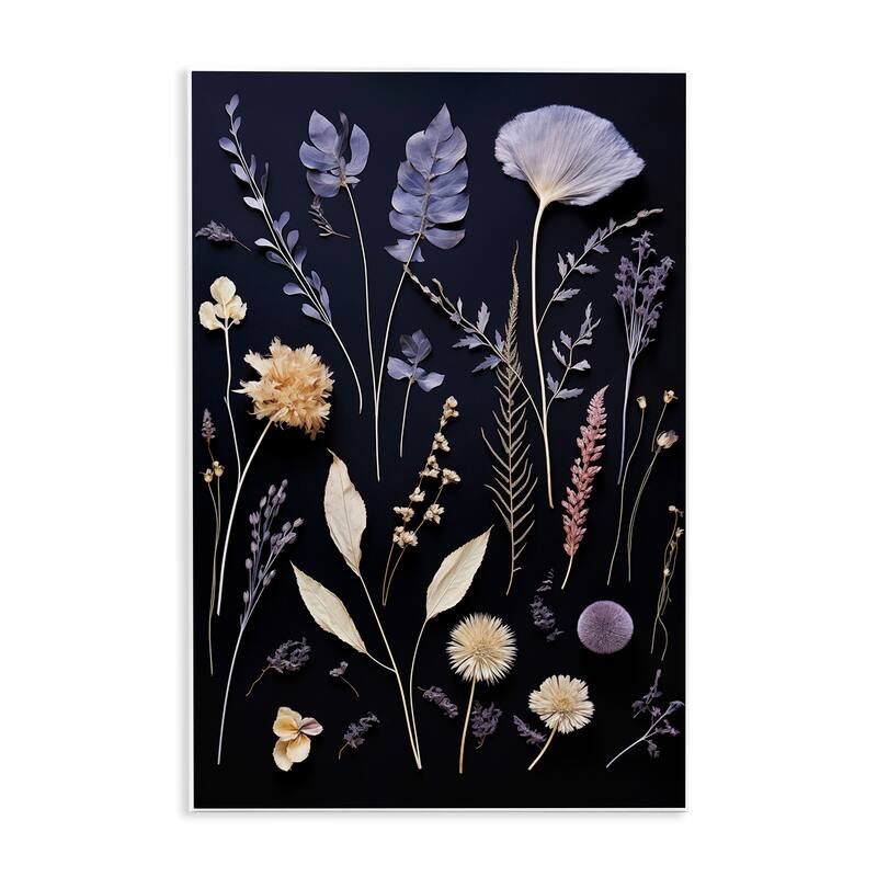 Stupell Various Sprigs on Black Wall Plaque Art Design By Heidi Kuntz - 13 x 19
