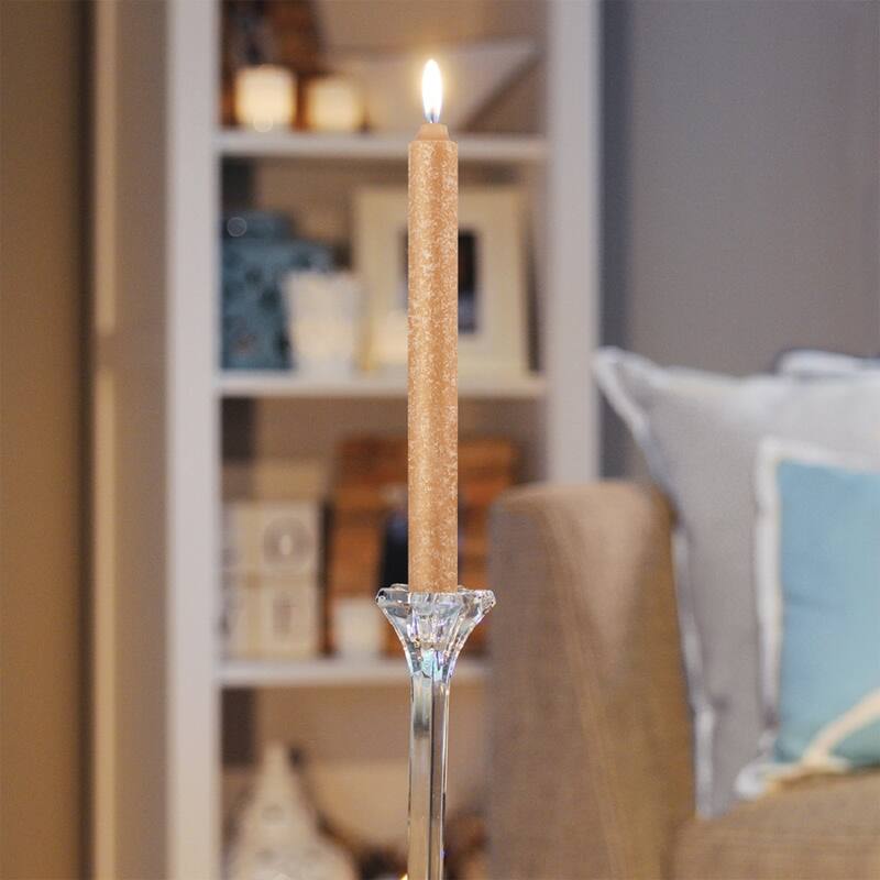 ROOT Unscented Timberline Arista Taper Candles box of 2