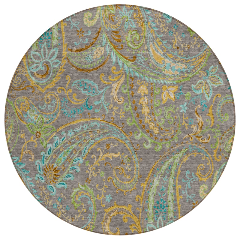 Machine Washable Indoor/ Outdoor Paisley Chantille Rug