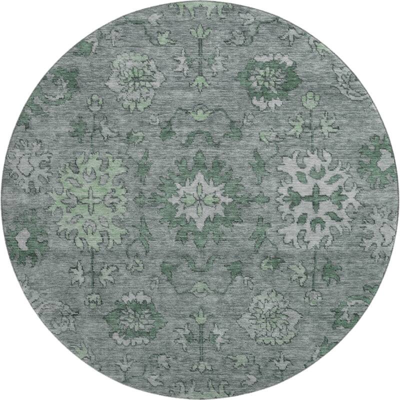 Premium Washable Super Soft Traditional Caply Mayfield Rug