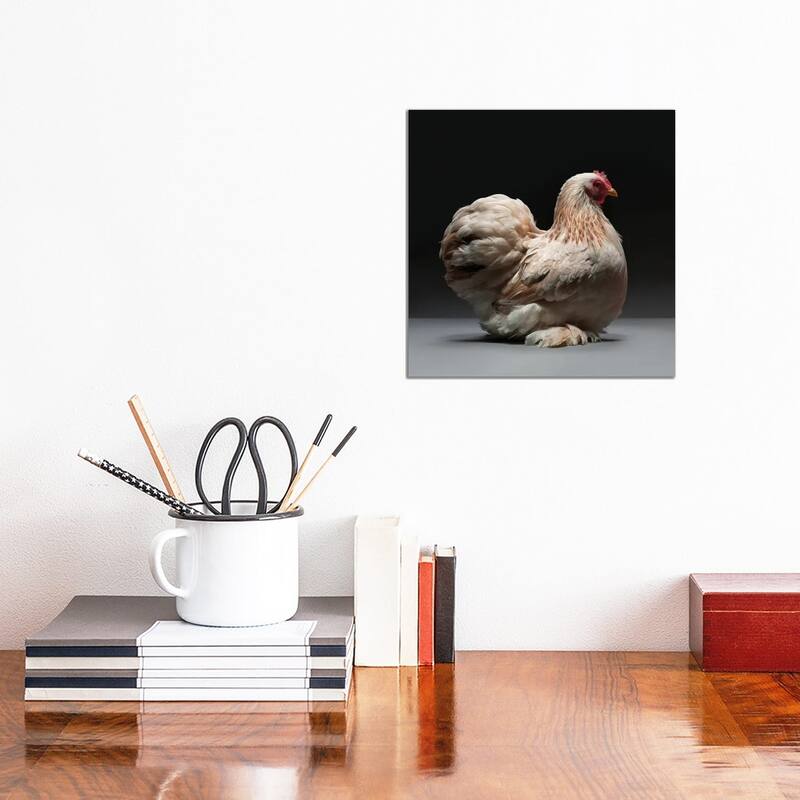 iCanvas "Cochin Bantam" by CHICken Canvas Print - 12x12x0.75