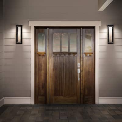 Eliot LED Indoor and Outdoor Wall Light