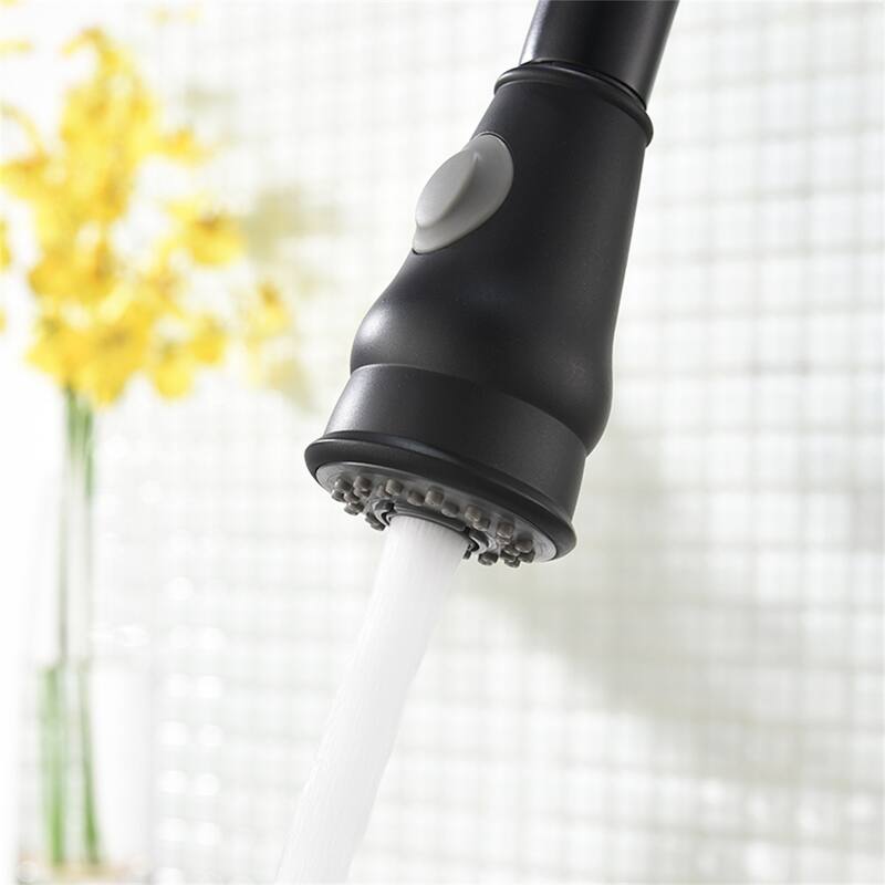 Single Handle Kitchen Sink Faucet with Pull Down Sprayer Brass Pull Out Kitchen Basin Vanity Faucets with Sprayer