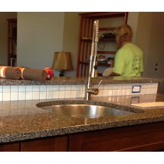 Shop Single D Shape Bowl Premium 16 Gauge Kitchen Sink With