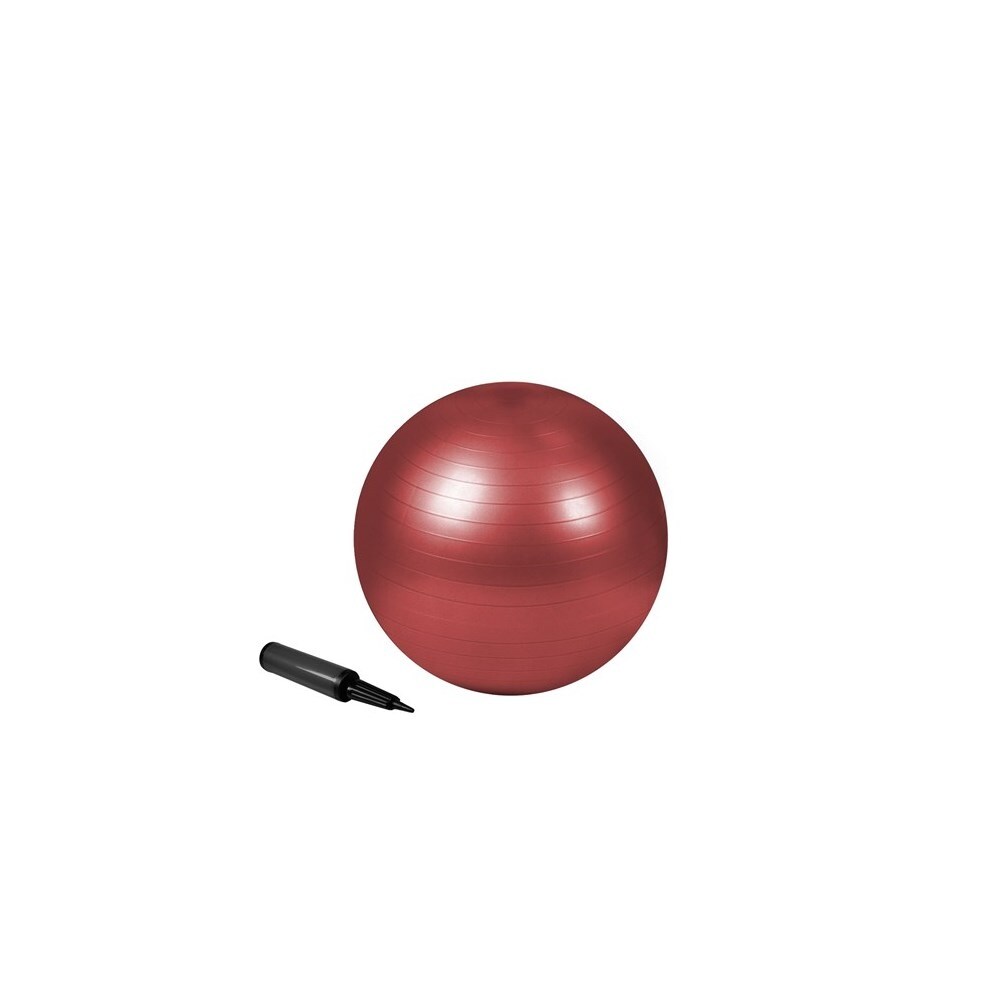 Trimax Sports 22 In ZenZu Exercise Ball Exercise Ball Bed Bath