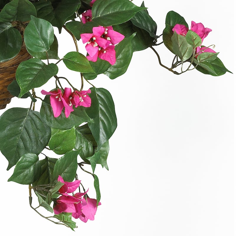 Silk Plant Hanging Basket - Decorative Home Accent