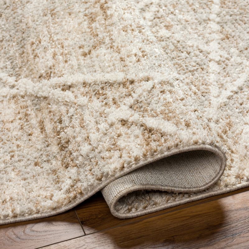 Adelyn Modern & Contemporary Area Rug