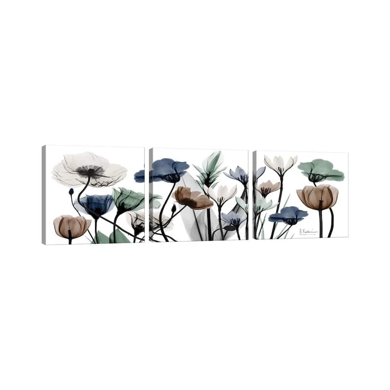 iCanvas "Floral Neutrals I" by Albert Koetsier 3-Piece Canvas Wall Art Set