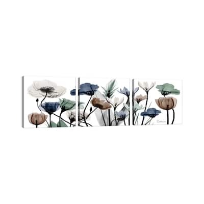 iCanvas "Floral Neutrals I" by Albert Koetsier 3-Piece Canvas Wall Art Set
