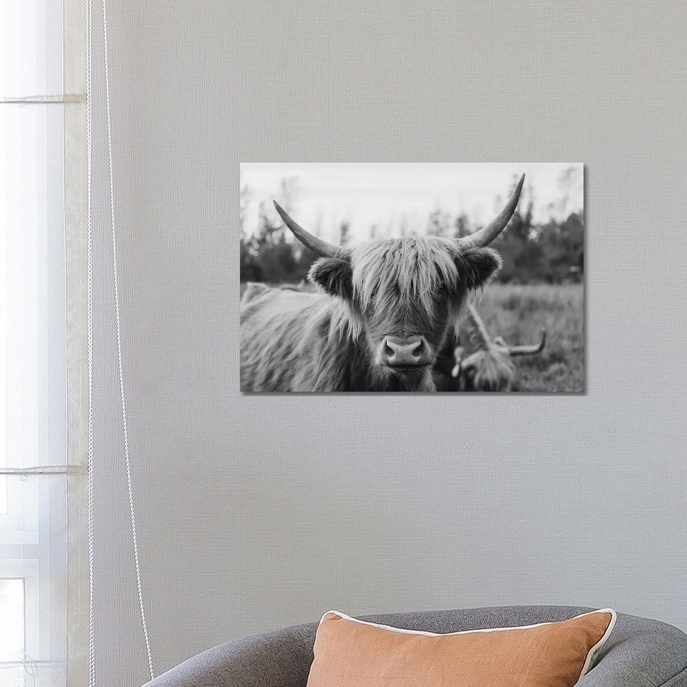 iCanvas "Highland Cow Black and White" by Chelsea Victoria Canvas Print