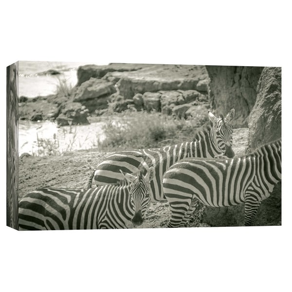 PTM Images 9-102270 PTM Canvas Collection 8" x 10" - "Watering Hole" Giclee Zebras Art Print on Canvas